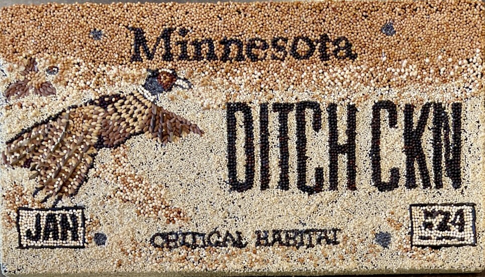 [Larisa Brandt MN Ditch Chicken image]